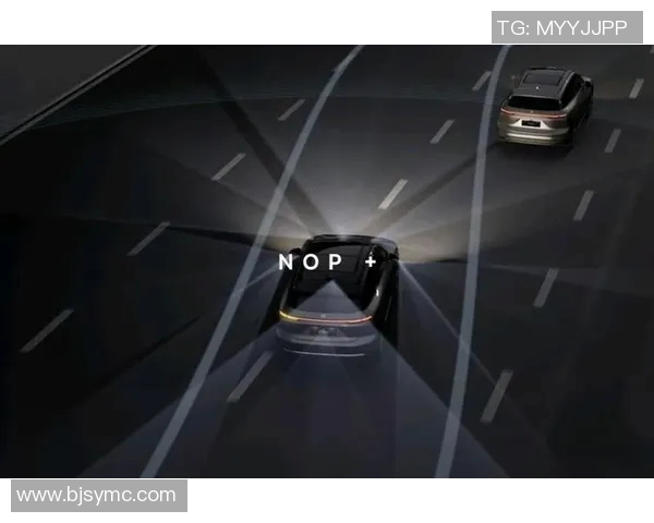 国外热议特斯拉与蔚来竞争态势分析及未来发展趋势探讨 国外热议特斯拉与蔚来竞争态势分析及未来发展趋势探讨