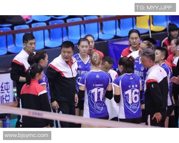 TVB直播女排赛中国队对阵荷兰队精彩对决引发球迷热议